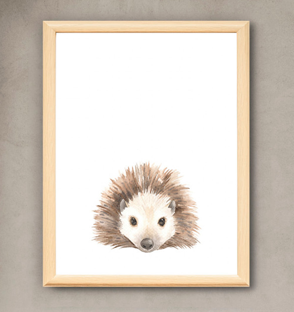 Cuadro Puercoespin 28 x 35 cm
