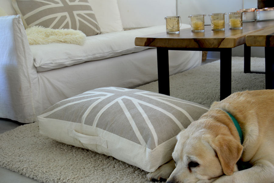 Puff Chico British Visón