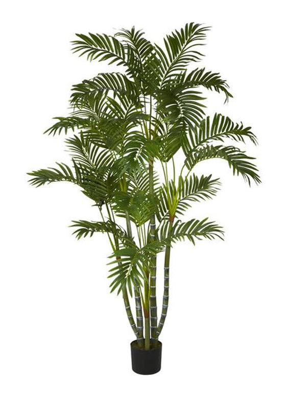 Tropical Biggy 1,80 mts