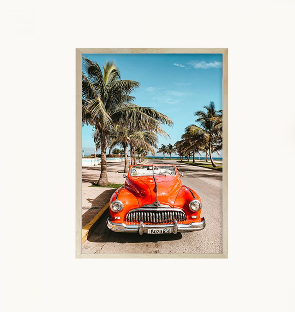 Cuadro Auto 30x40 cm