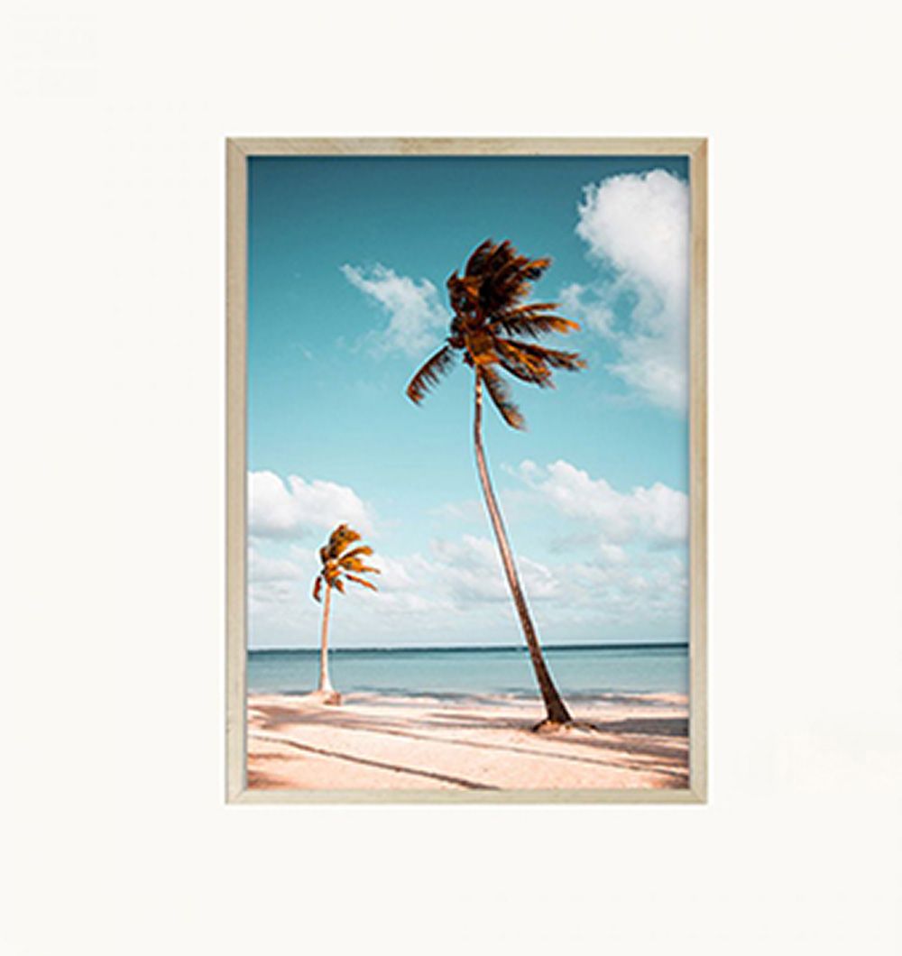 Cuadro Palmeras 30x40 cm