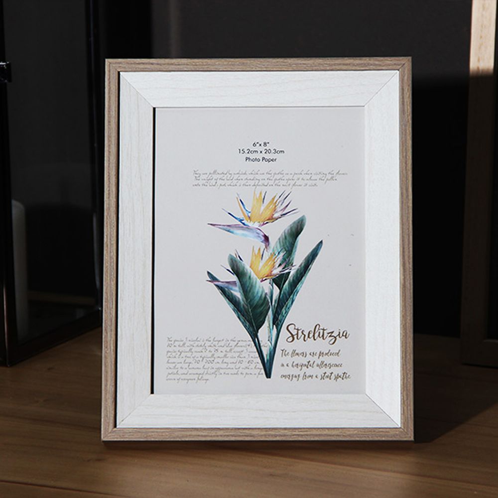 Portaretratos Strelitzia 13x10