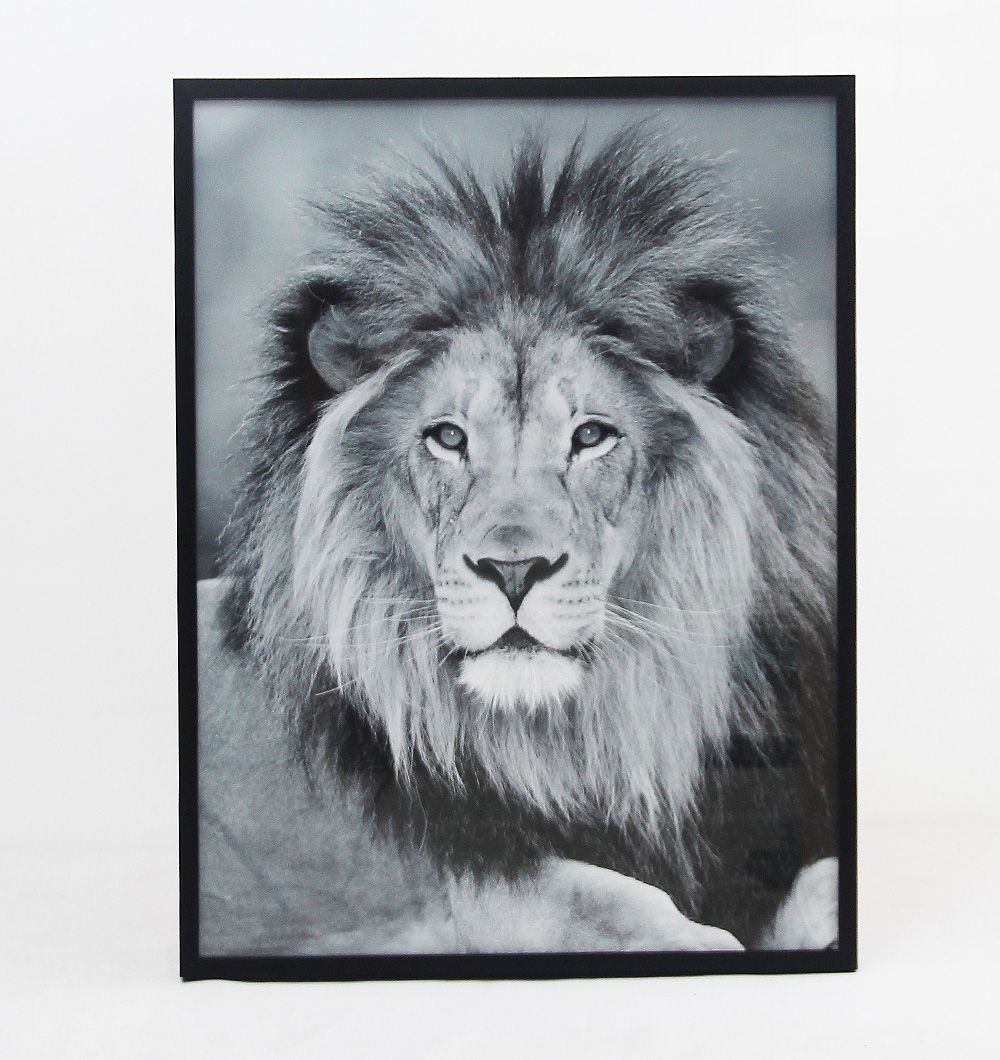 Cuadro Simba 60x80 cm Bl/Ng