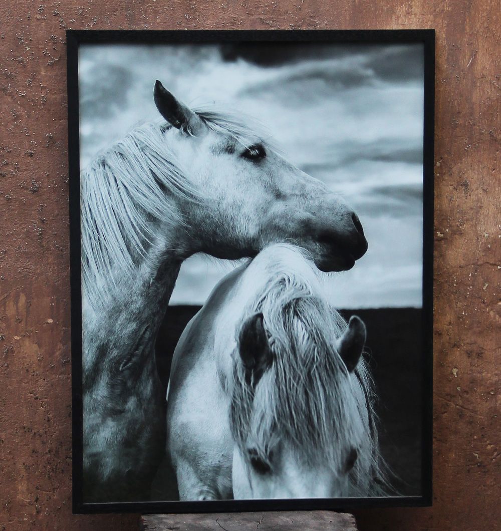 Cuadro Horses 60x45 cm