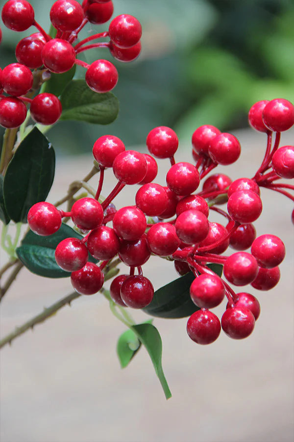 Pack 3 Piezas Florero Vind Chico/2 Ramas Red Berry