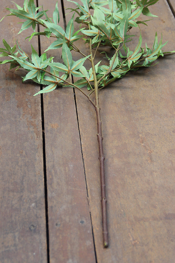 Australis Branch 85 cm