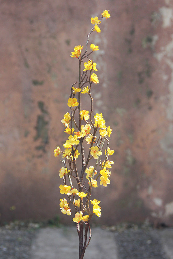 Yellow Cherry Blossom Stem 85 cm