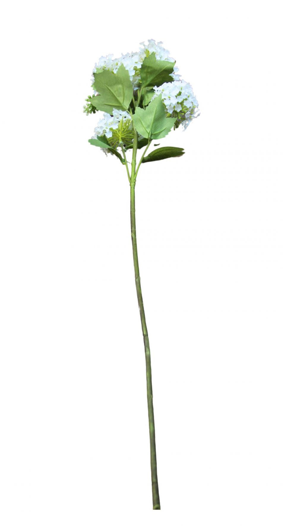 White Viburn Stem 80 cm