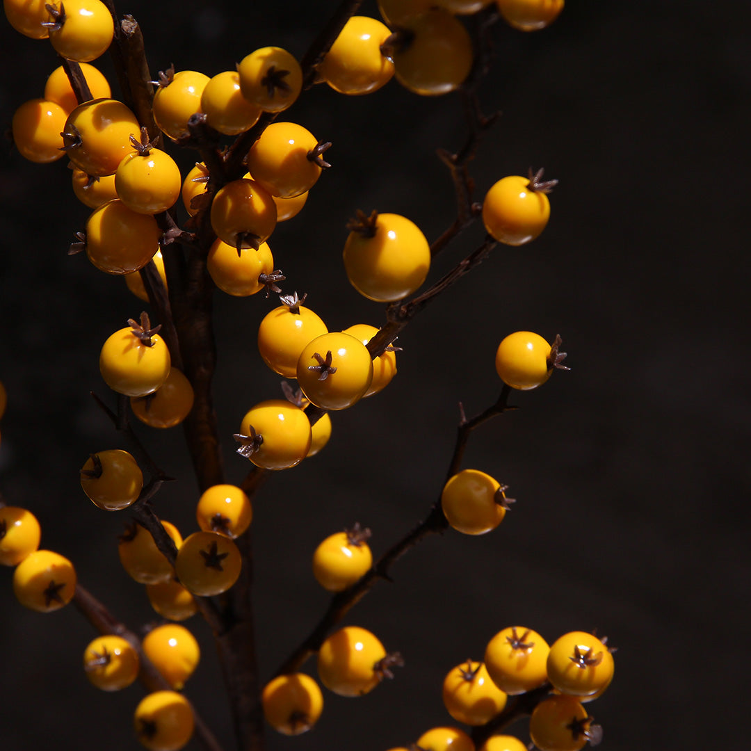 Yellow Berries Branch
