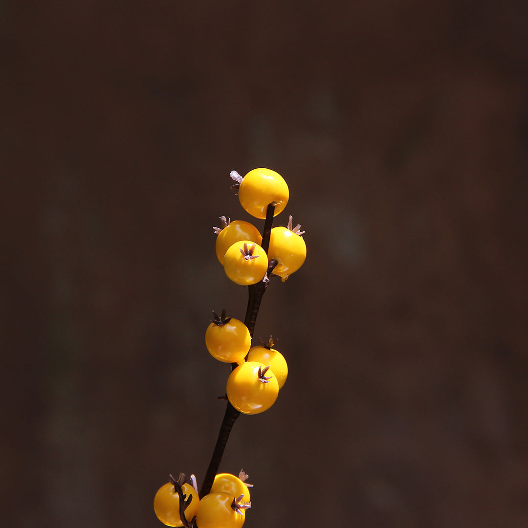 Yellow Berries Branch