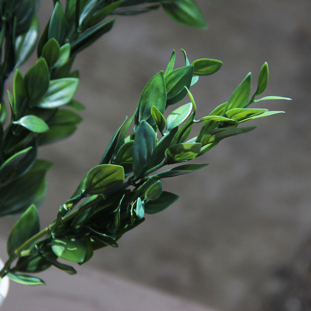 Light Green Box Branch