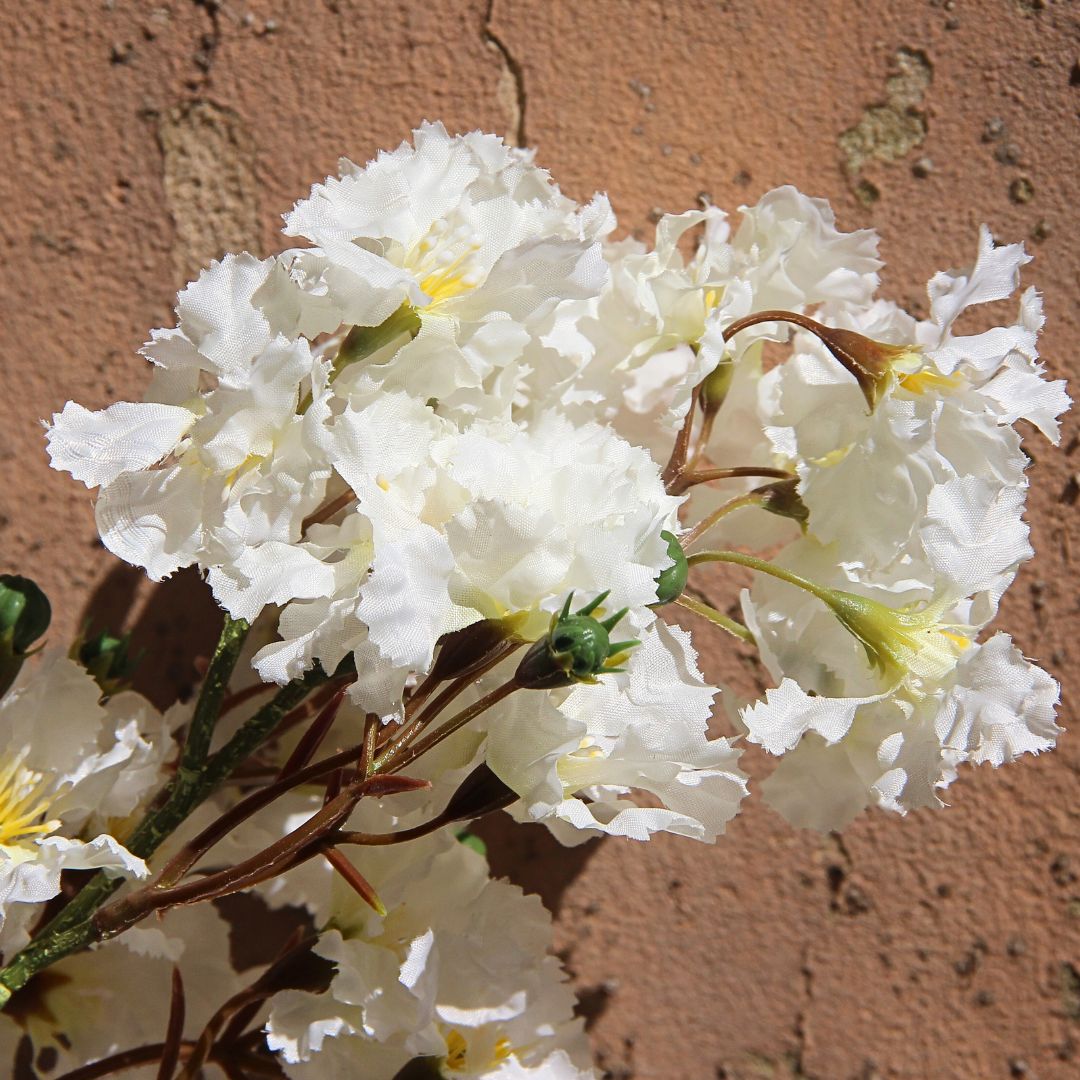 White Bloom Stem