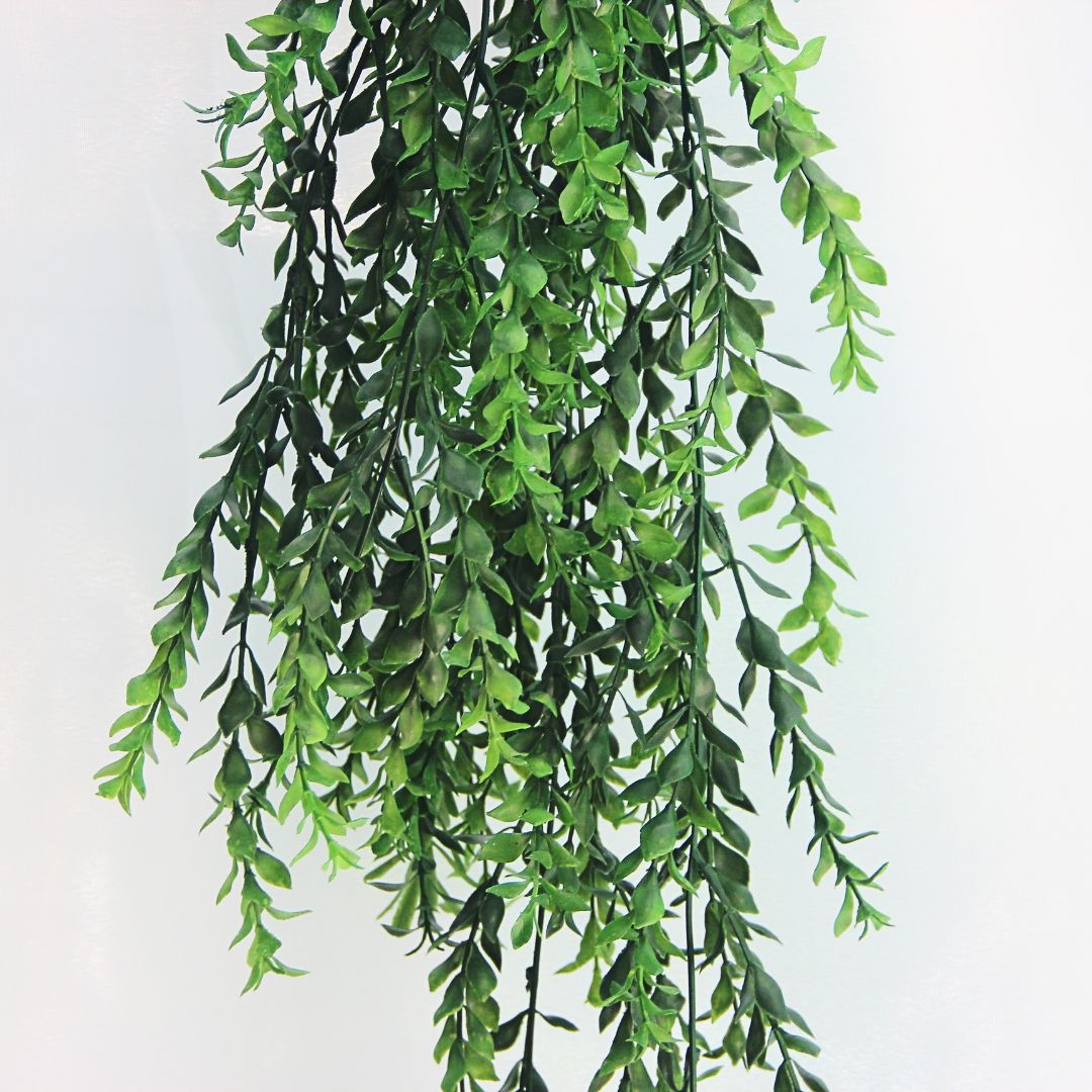 Hanging Boxwood Green 105 cm