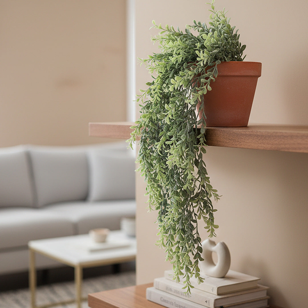 Boxwood Cascade 105 cm