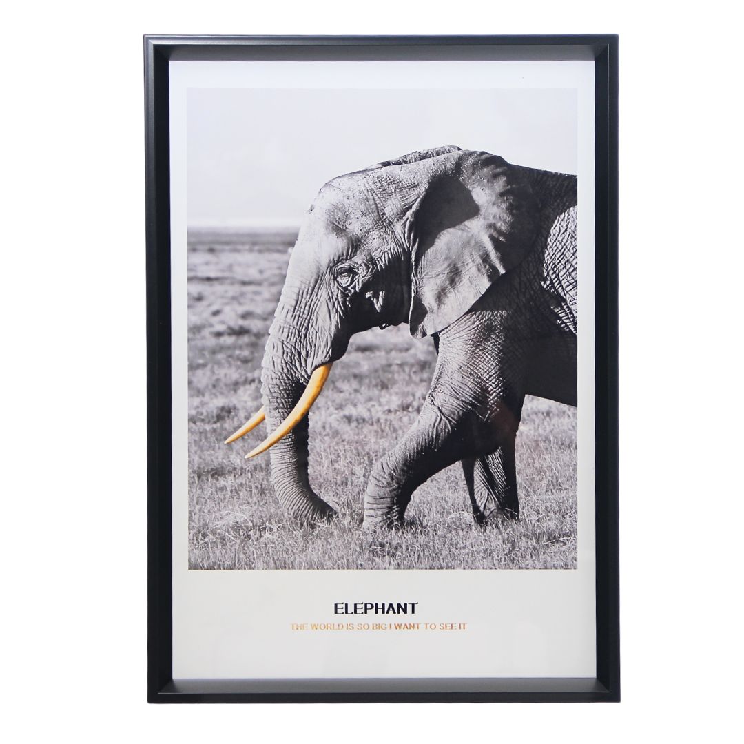 Cuadro Elephant 50x70 cm