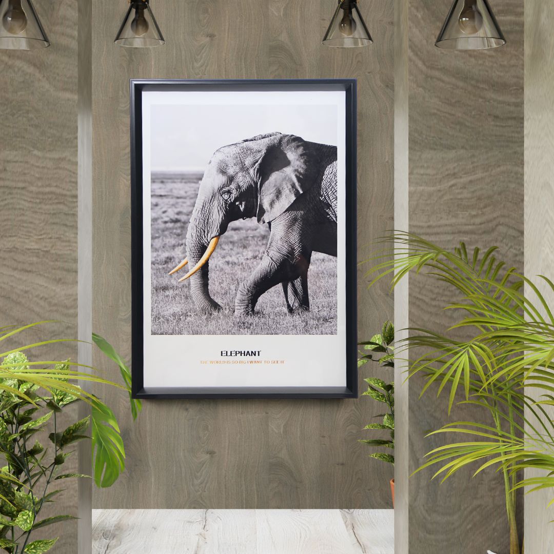 Cuadro Elephant 50x70 cm