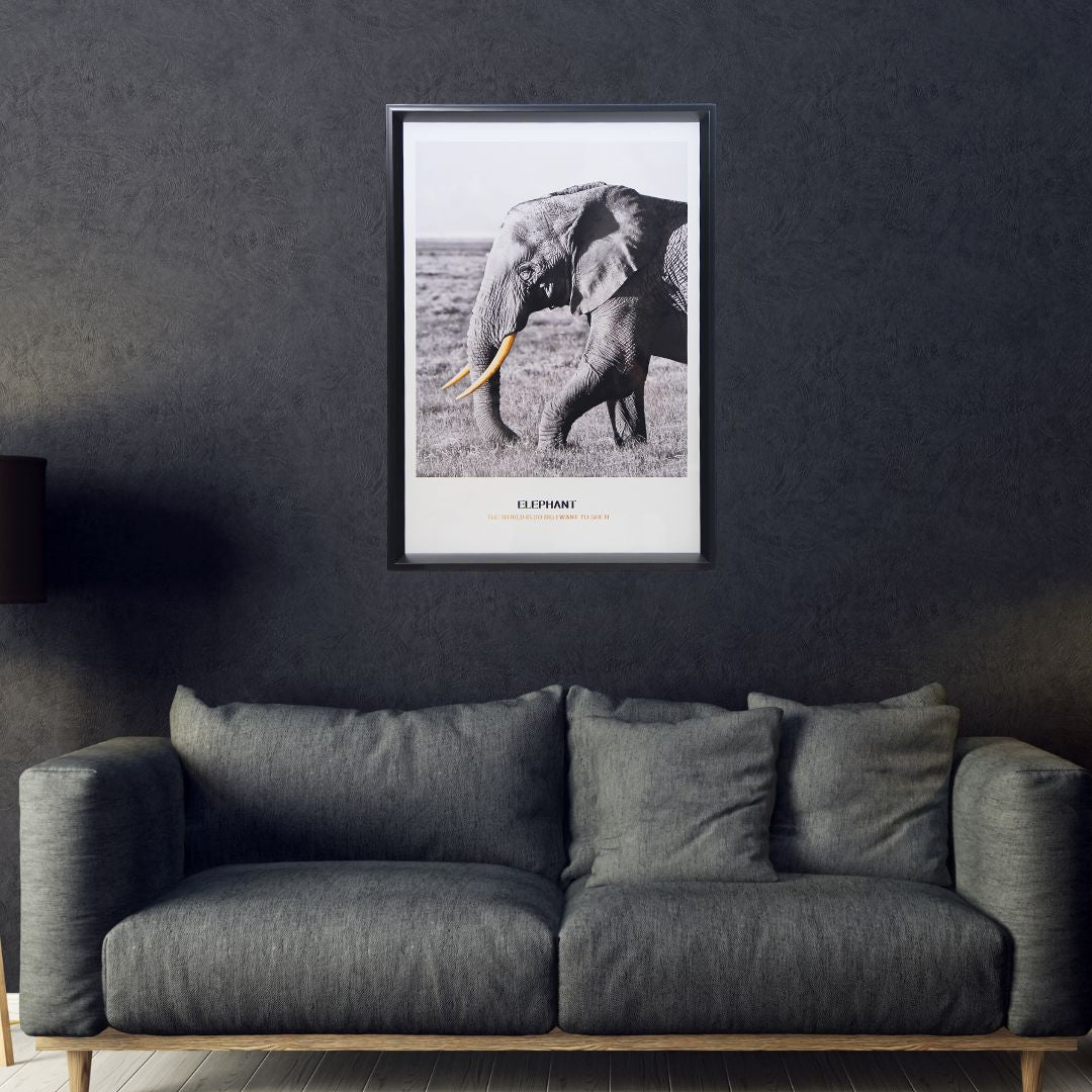 Cuadro Elephant 50x70 cm