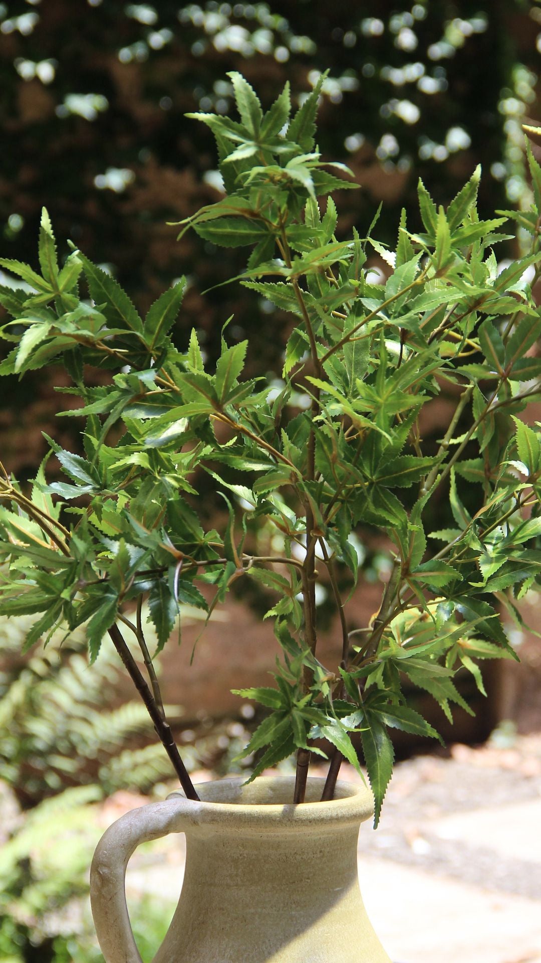 Australis Branch 85 cm