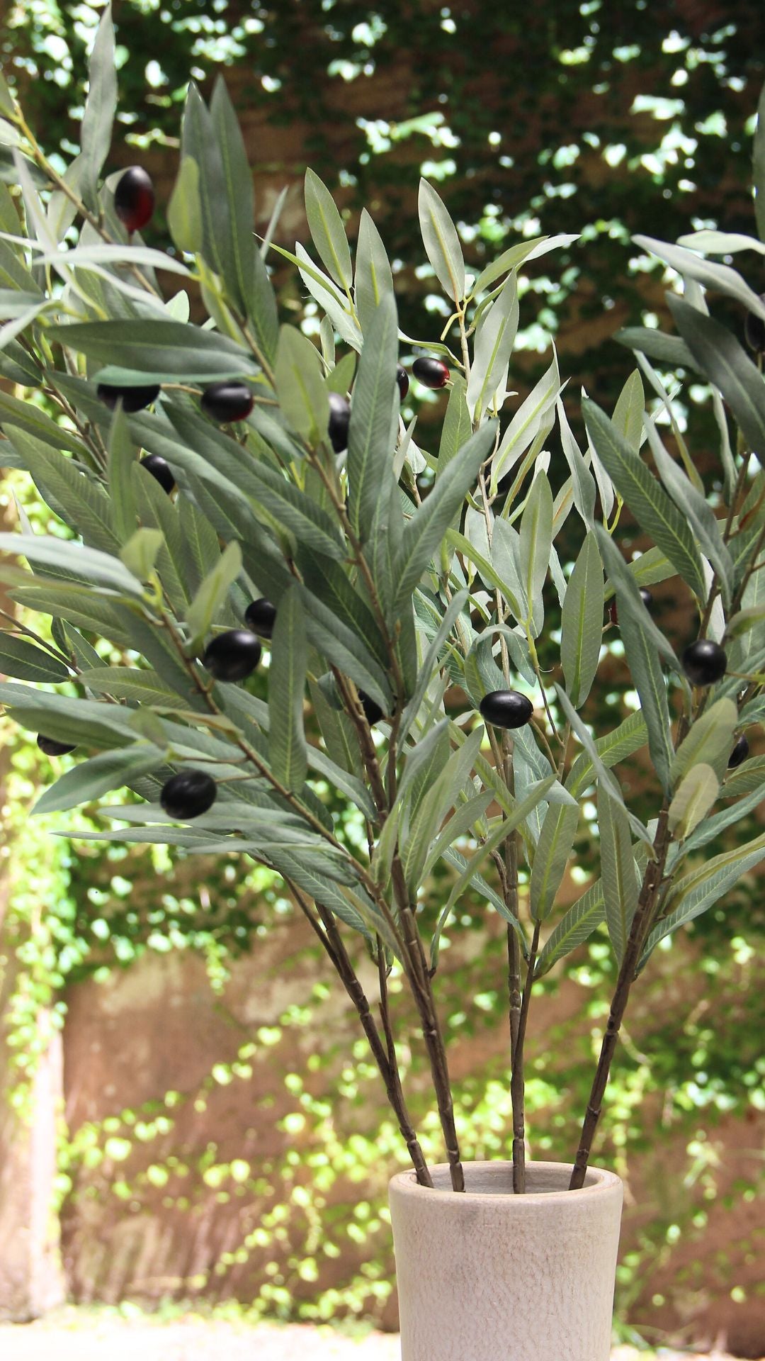 Green Olive Branch 96 cm