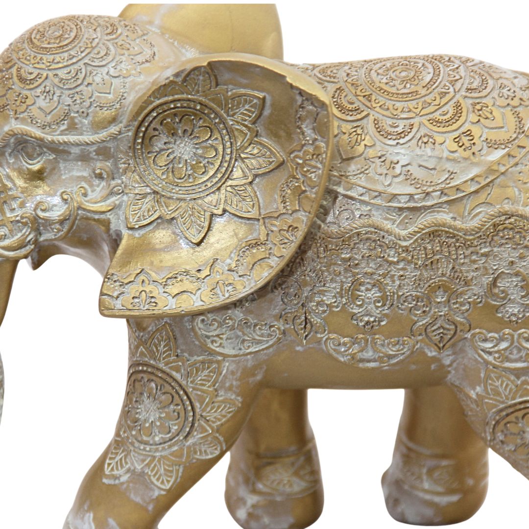 Elefante Golden Spirit