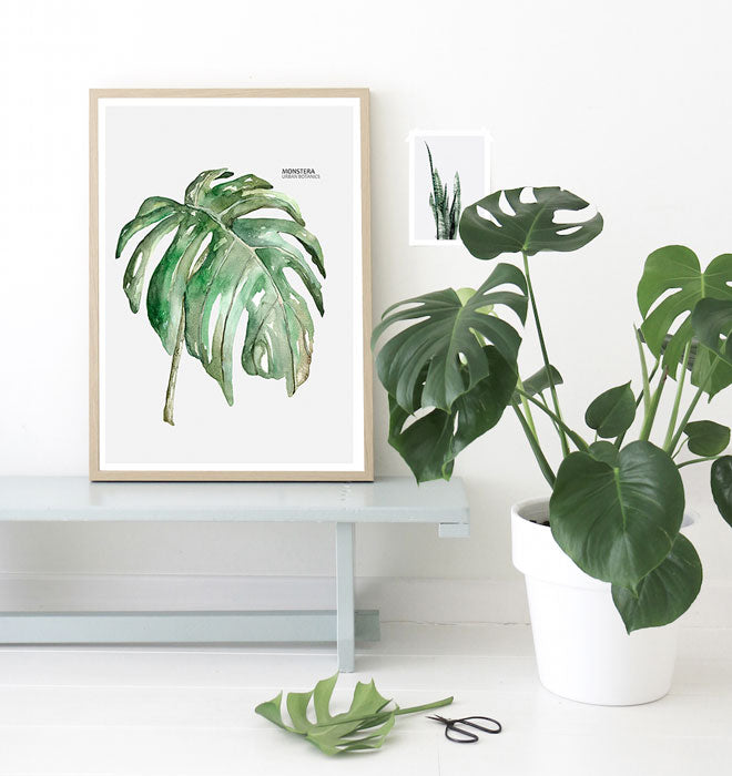 Cuadro Bota Mon 40 x 30 cm