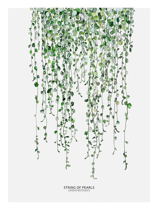 Cuadro Bota Perl 40 x 30 cm