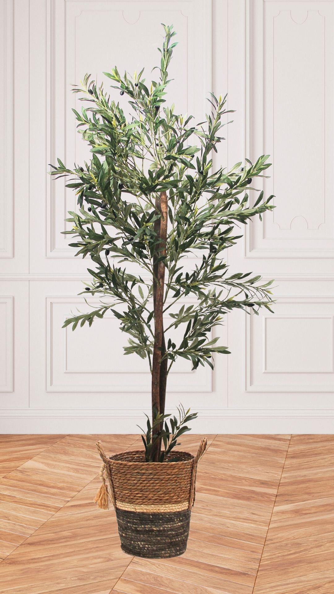 Planta de Olivo 1,80 mts