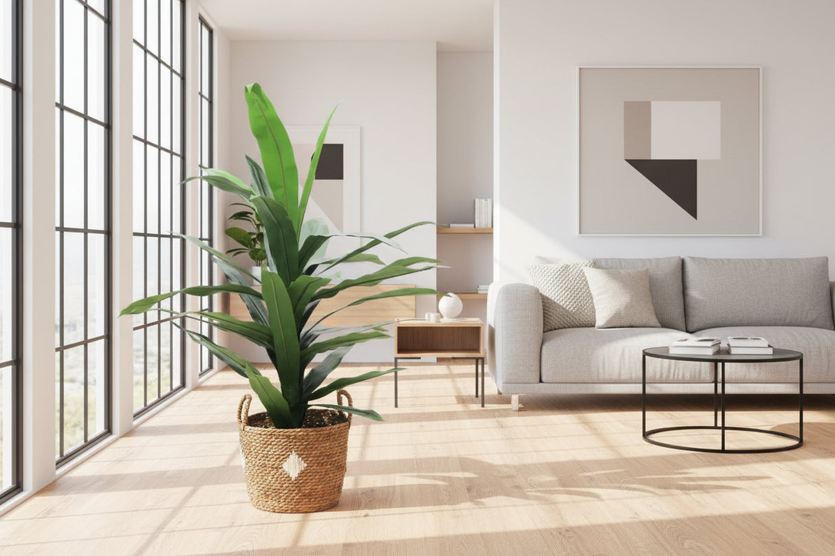 Planta Dracaena 1,20 Mts