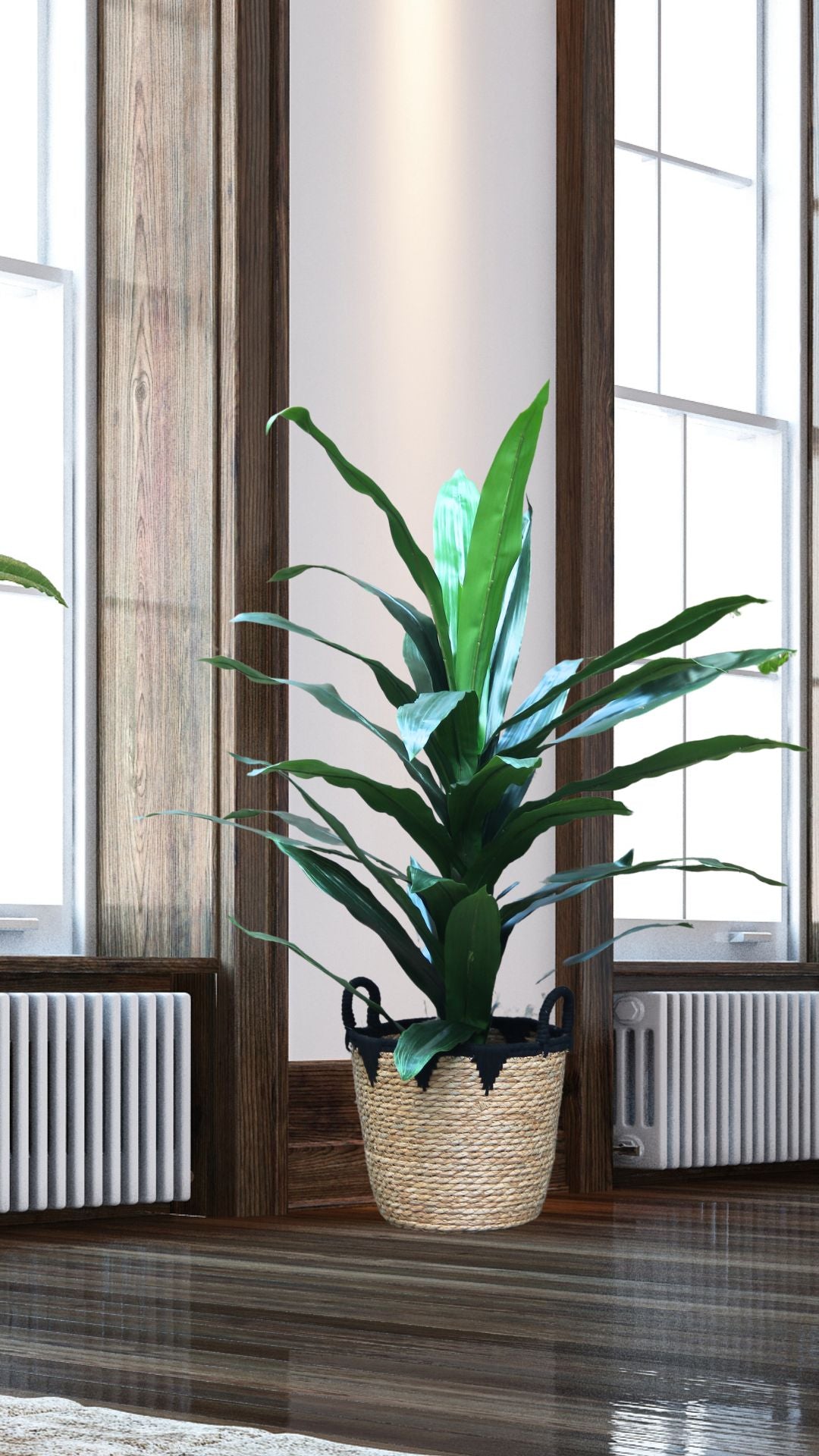 Planta Dracaena 1,20 Mts