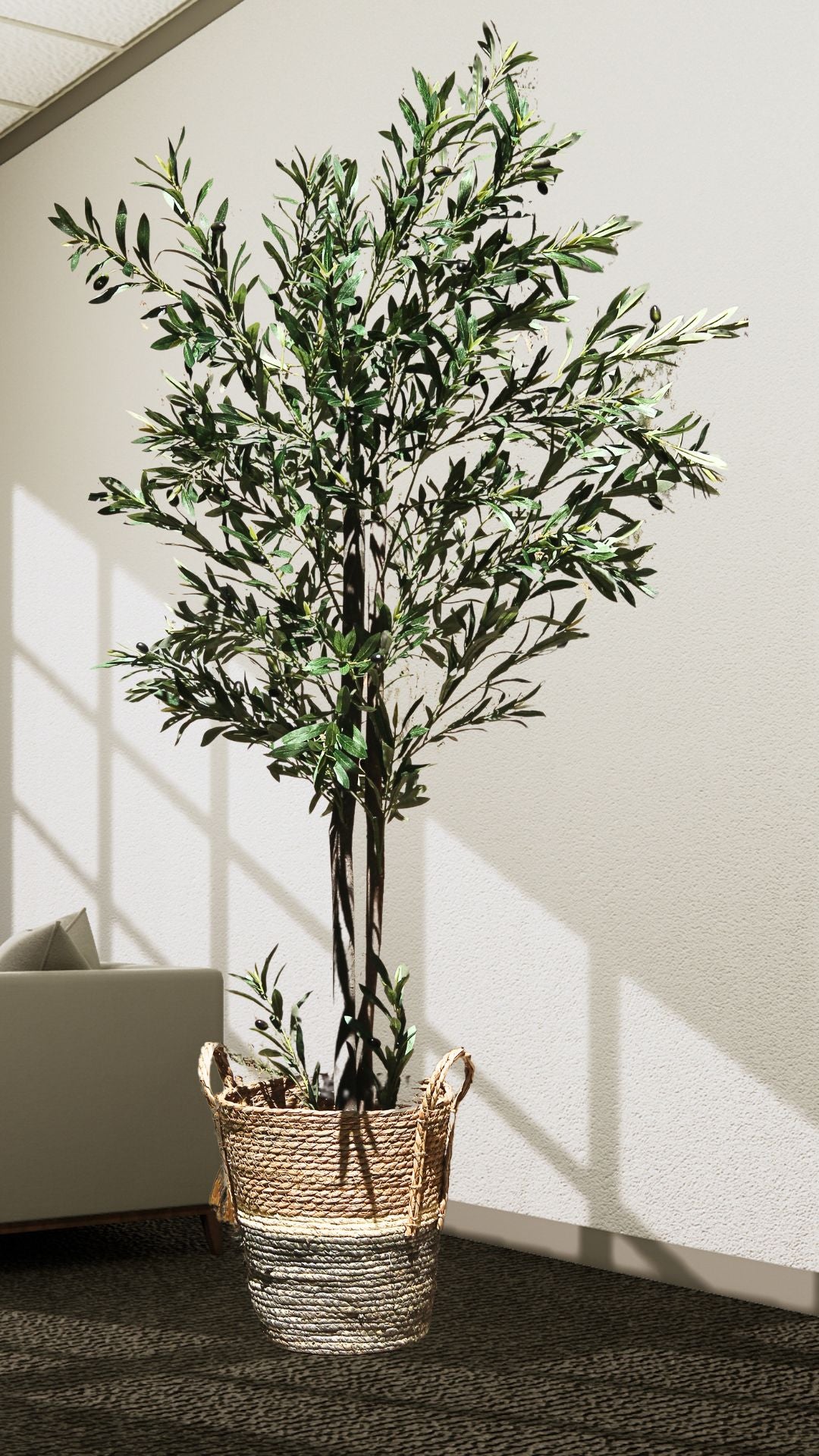 Planta de Olivo 1,80 mts