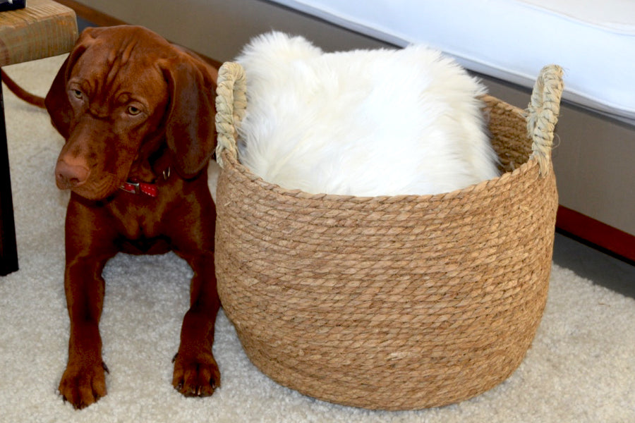 Canasto Zimba Grande