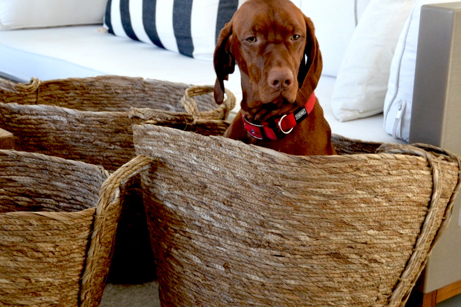 Canasto Seagrass Oval Grande