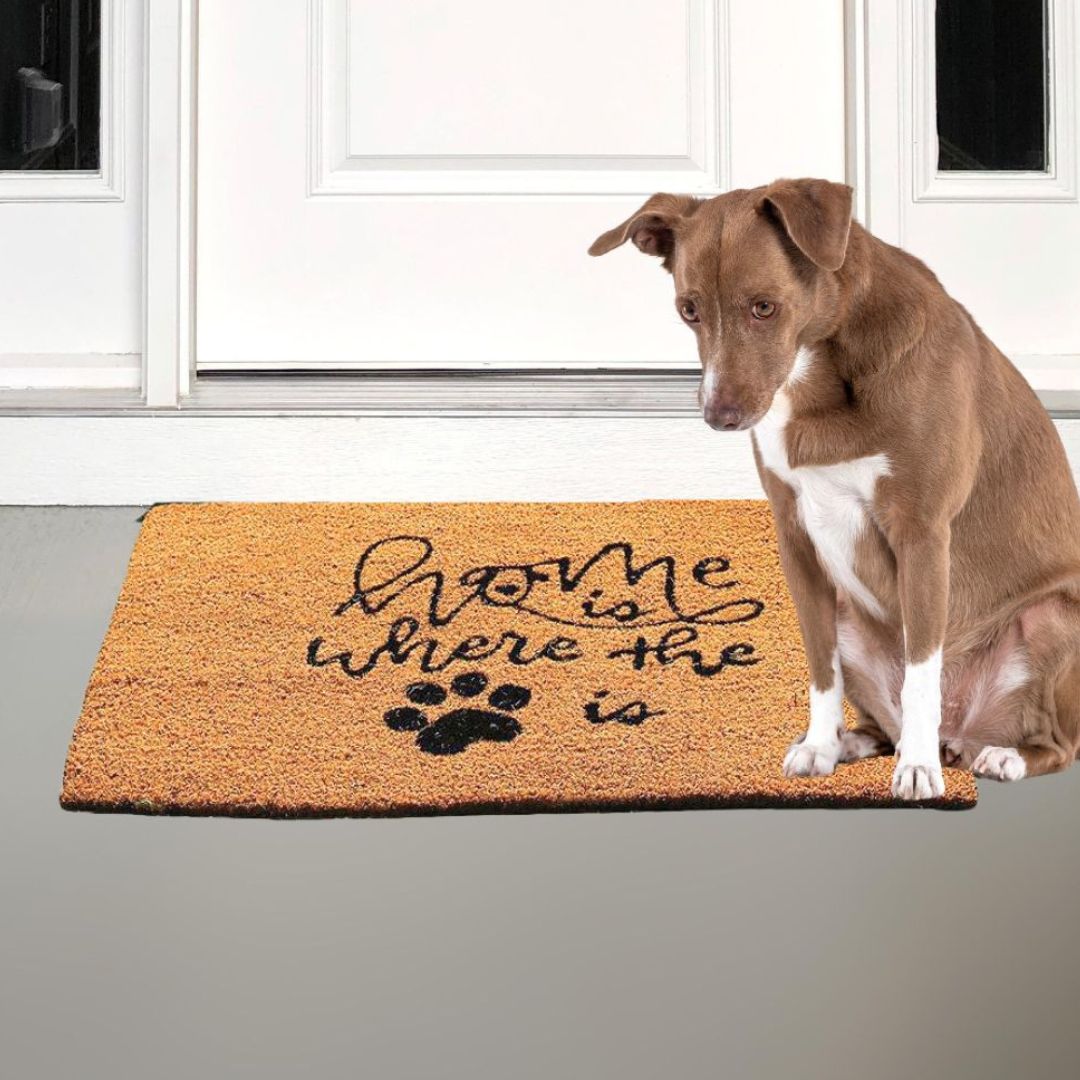 Felpudo Doggy 40x60 cm
