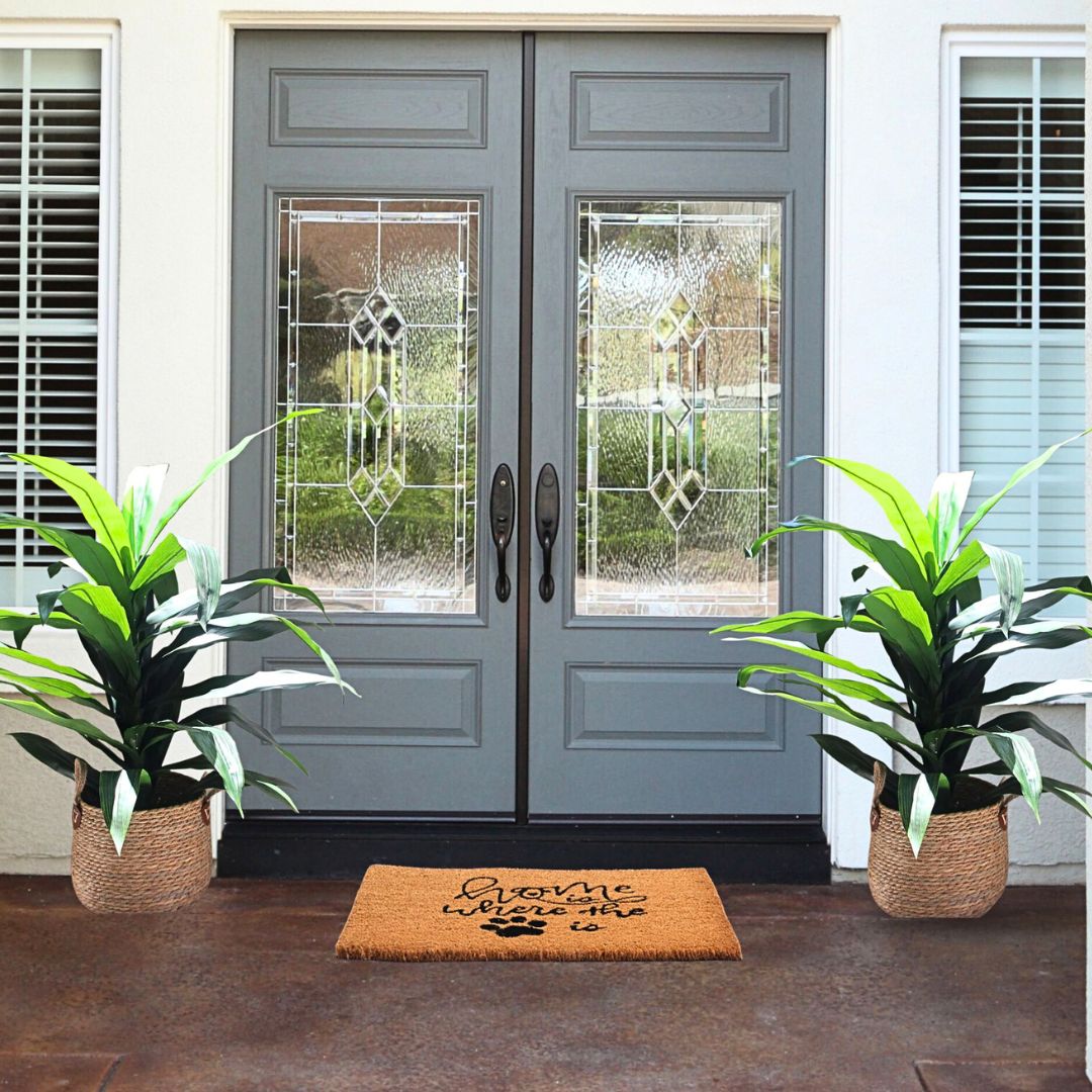 Felpudo Doggy 40x60 cm