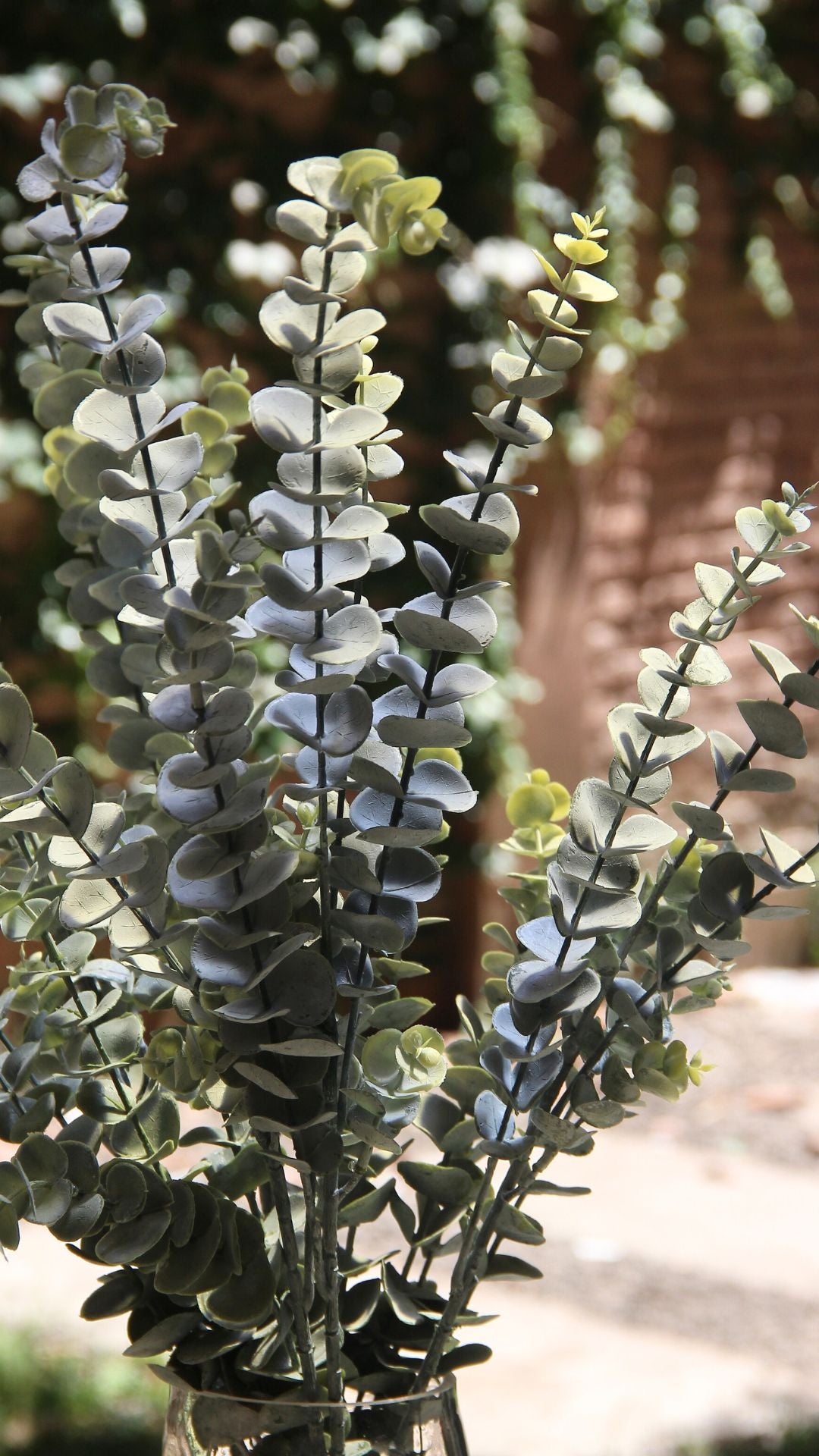 Eucalyptus Branch 80 cm