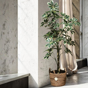 Faux Botanical