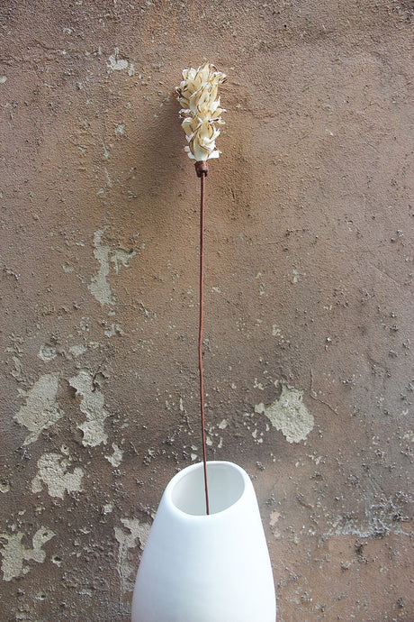 Sola Roman Pine