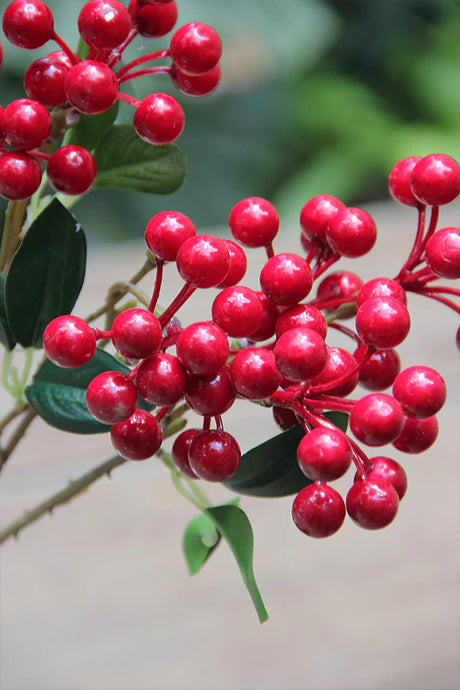 Pack 2 Piezas Florero Aura Grande/1 Rama Red Berry