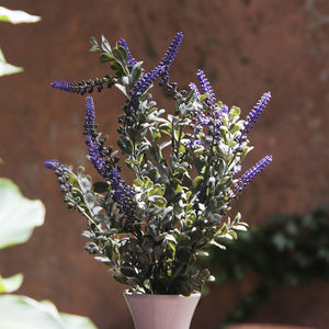 Lavender Spike Branch