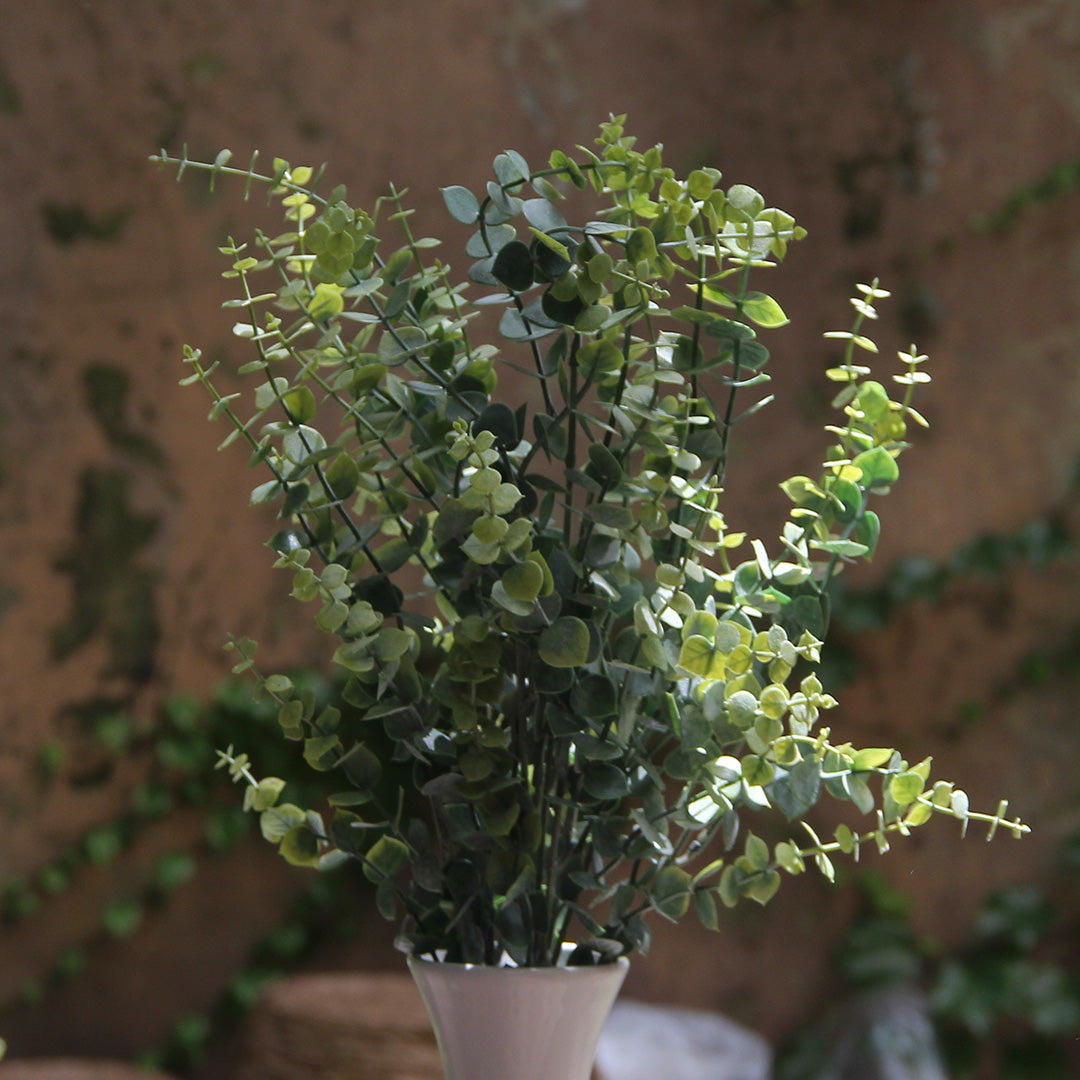 Eucalyptus Soft Green