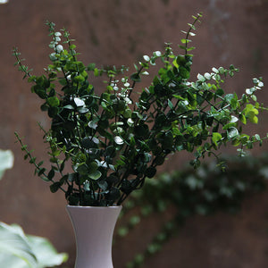 Eucalyptus Forest Green