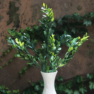 Deep Green Box Branch