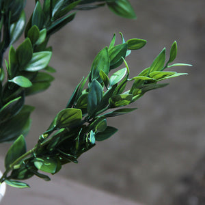 Deep Green Box Branch