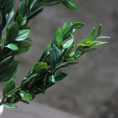 Deep Green Box Branch