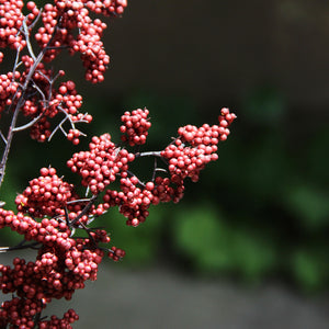 Berry Bloom Burgundy 83 cm