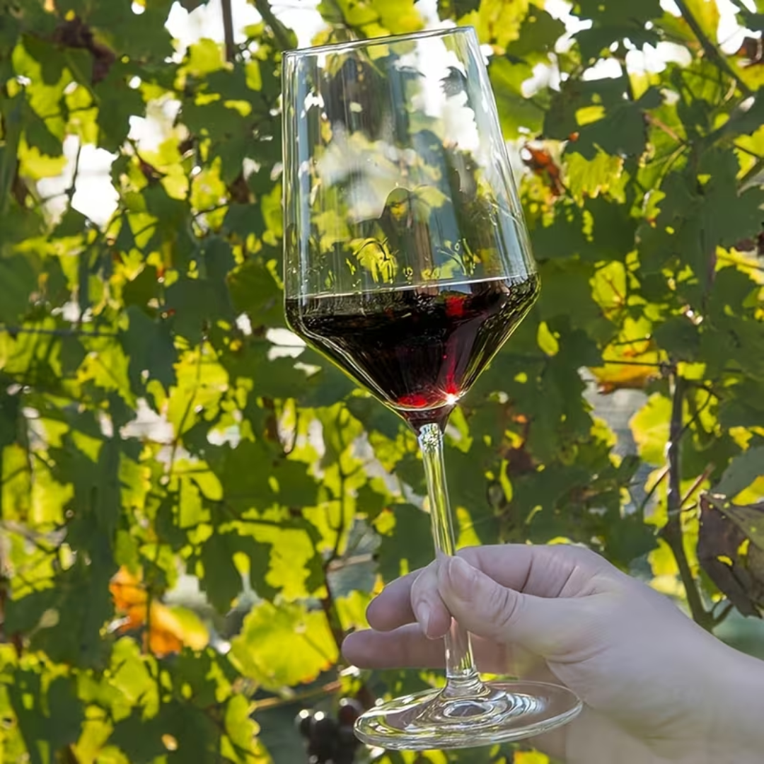 Copa Nova – 350 ml