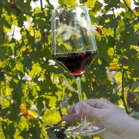 Copa Nova – 350 ml