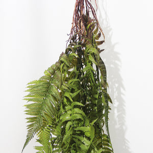 Hanging Fern Green 107 cm