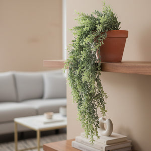 Boxwood Cascade 105 cm