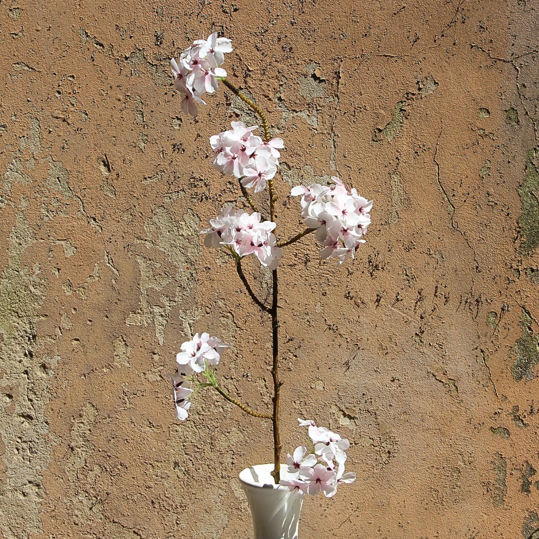 White Cherry Blossom Stem